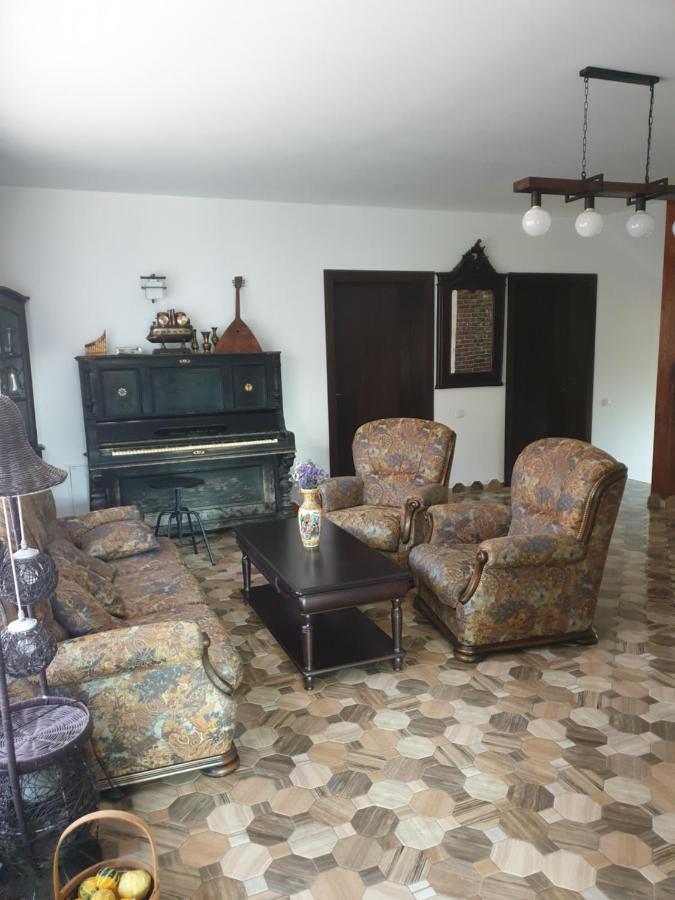 Casa Danei Ξενοδοχείο Μπρασόβ Εξωτερικό φωτογραφία