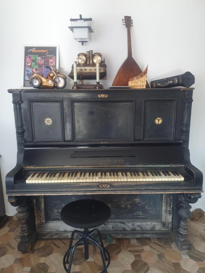 Casa Danei Ξενοδοχείο Μπρασόβ Εξωτερικό φωτογραφία