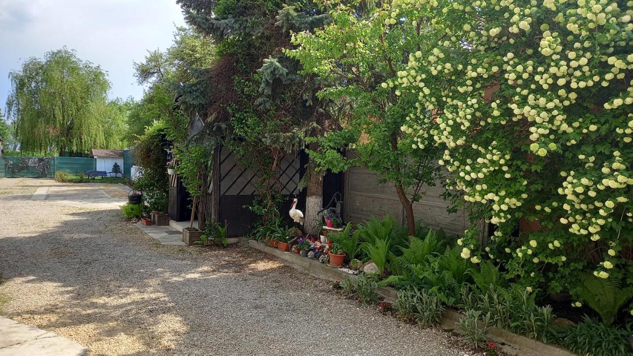 Casa Danei Ξενοδοχείο Μπρασόβ Εξωτερικό φωτογραφία