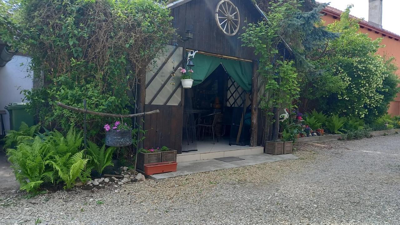 Casa Danei Ξενοδοχείο Μπρασόβ Εξωτερικό φωτογραφία