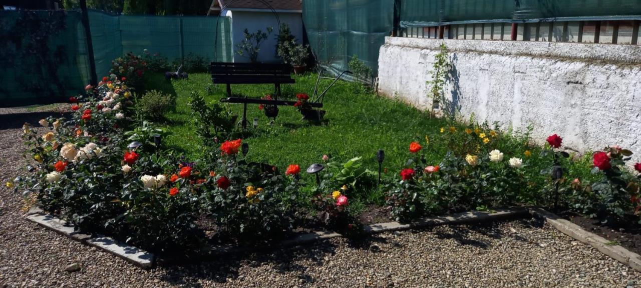 Casa Danei Ξενοδοχείο Μπρασόβ Εξωτερικό φωτογραφία